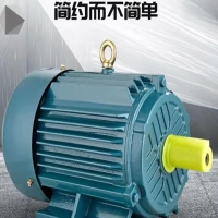 2900转速电机振动值要求几多？